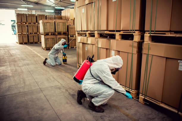 Best Exterminator Services  in Indian Head Park, IL
