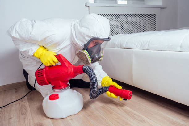 Best Flea Control Services  in Indian Head Park, IL