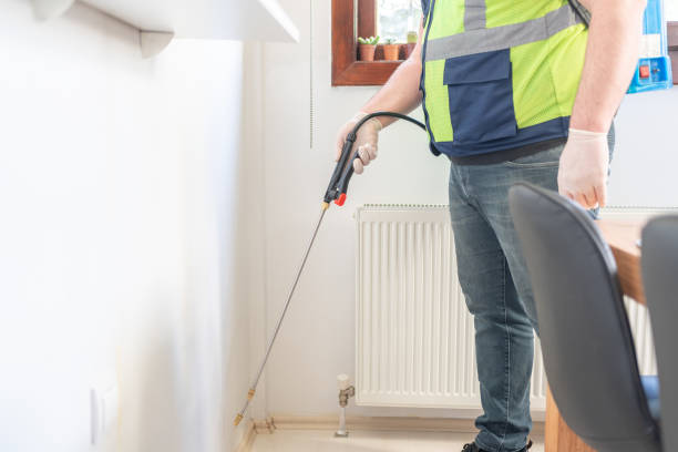 Best Termite Control Services  in Indian Head Park, IL