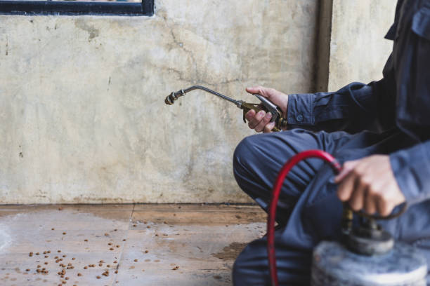Best Wasp Removal Services  in Indian Head Park, IL