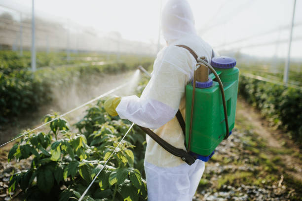 Best Ant Control Services  in Indian Head Park, IL